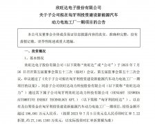 欣旺达计划投资 19.6 亿元在匈牙利建立电动汽车动力电池工厂